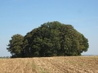 Le Tumulus d'Avennes