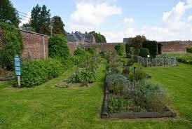 Le Jardin des Plantes de Pitet